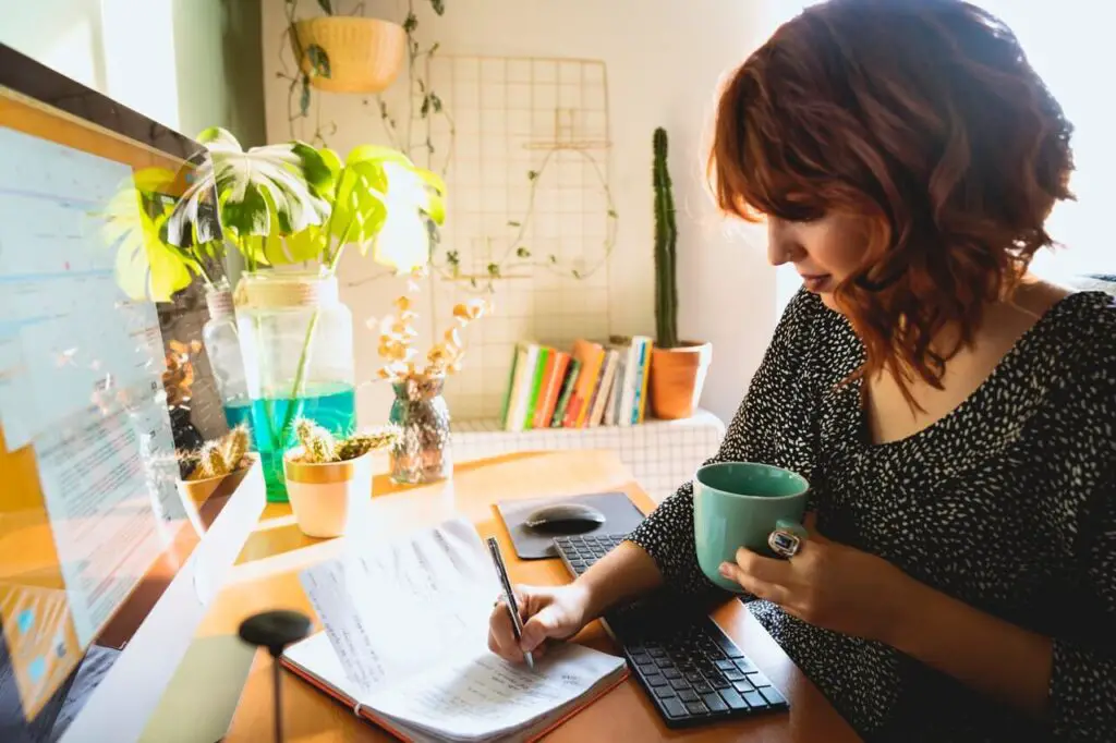 Why I Finally Switched from Ingramer and Found Tools I Actually Love Using
